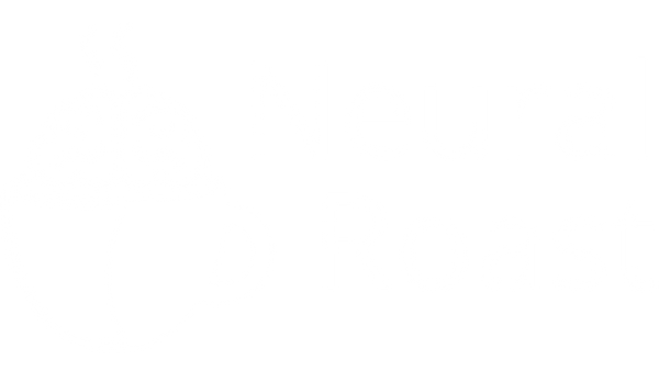 Neural Roast